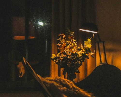Quiet evening at home with warm lighting after work